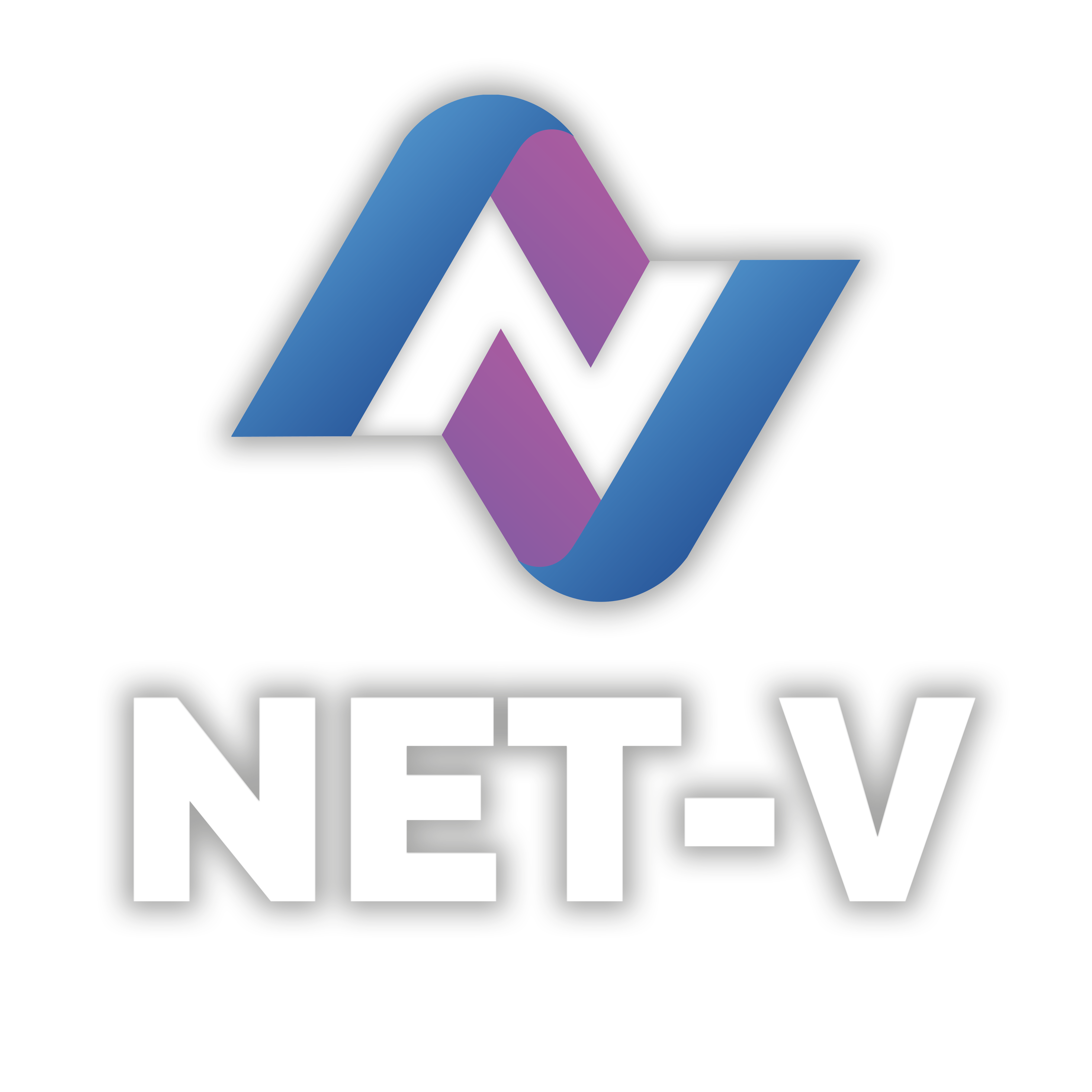 Net-V Logo